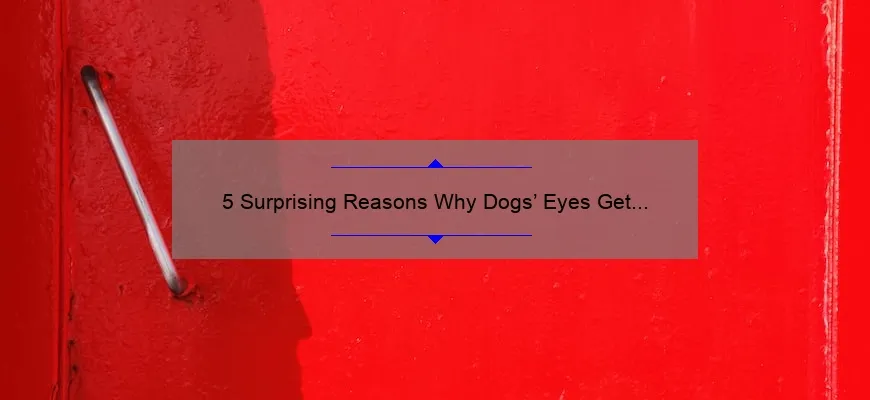 5-surprising-reasons-why-dogs-eyes-get-red-when-tired-and-how-to-help