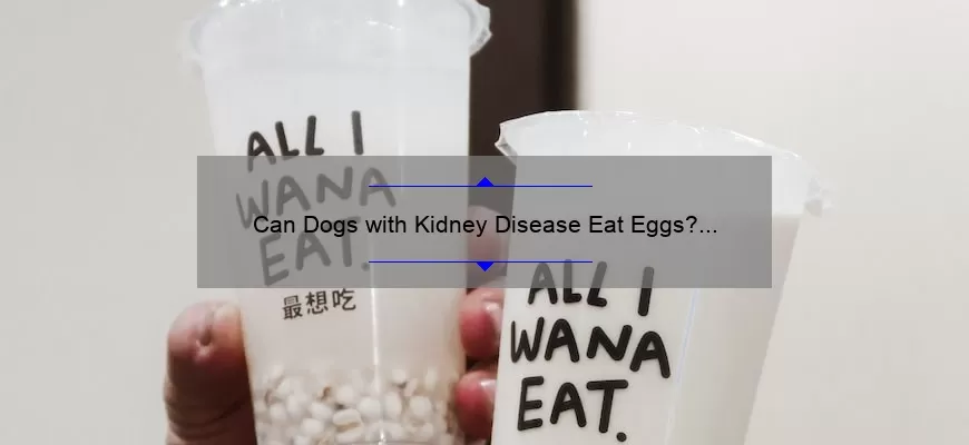 Can Dogs With Kidney Disease Eat Eggs The Surprising Truth Expert 