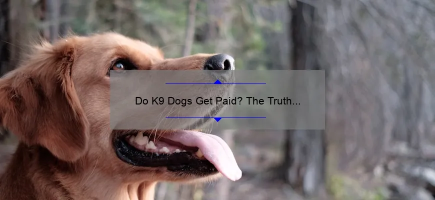  Do K9 Dogs Get Paid The Truth Behind Canine Compensation Explained 