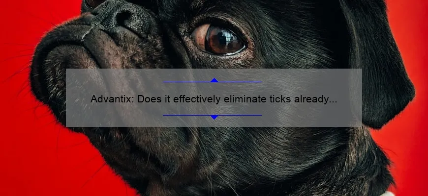 advantix-does-it-effectively-eliminate-ticks-already-on-your-dog
