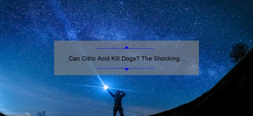 Can Citric Acid Kill Dogs? The Shocking Truth, Prevention Tips, and Statistics [Expert Guide