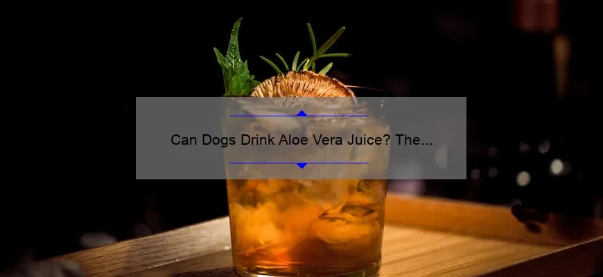 Can Dogs Drink Aloe Vera Juice The Surprising Truth Benefits And 