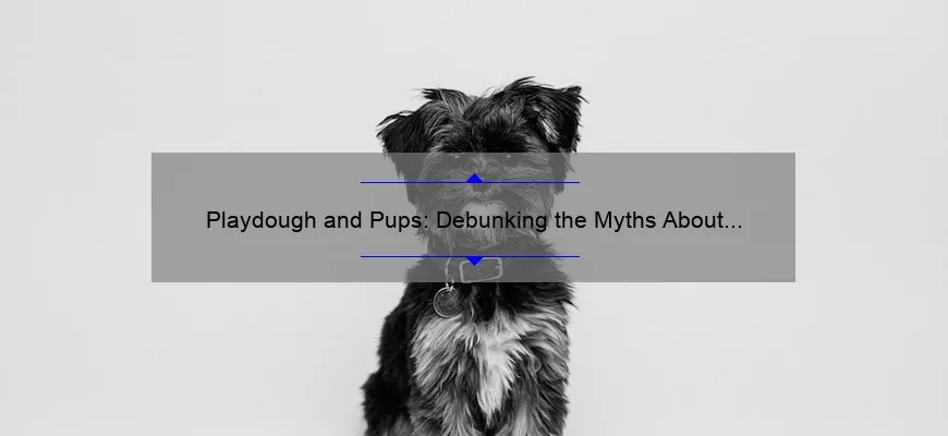 playdough-and-pups-debunking-the-myths-about-toxicity-doghousefmb