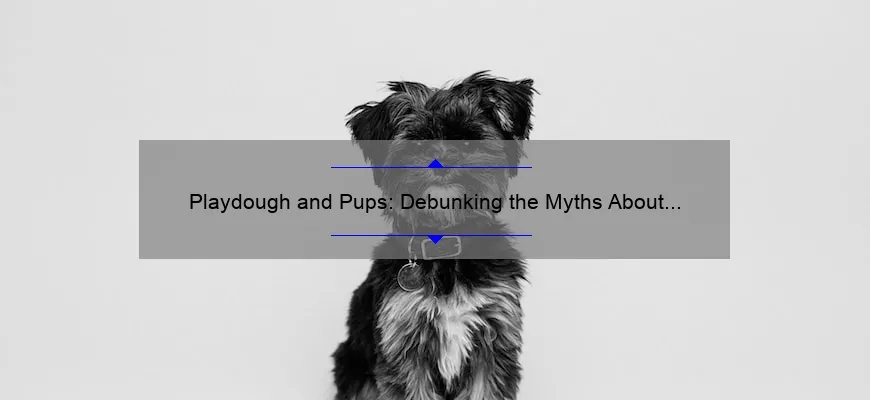 Playdough And Pups Debunking The Myths About Toxicity Doghousefmb