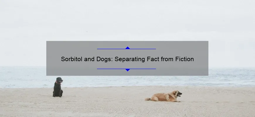 Sorbitol And Dogs: Separating Fact From Fiction - Doghousefmb.com