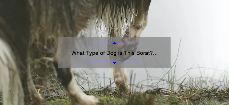 What Type of Dog is This Borat? Unveiling the Breed Behind Borat’s Canine Companion