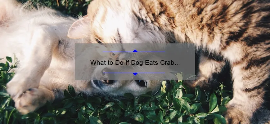 Emergency Guide: What to Do If Your Dog Eats Crab Apples