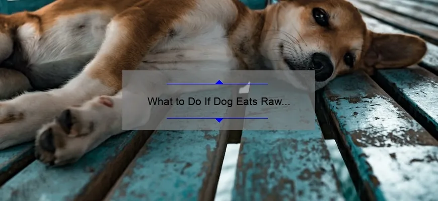 Emergency Guide: What to Do if Your Dog Eats Raw Chicken