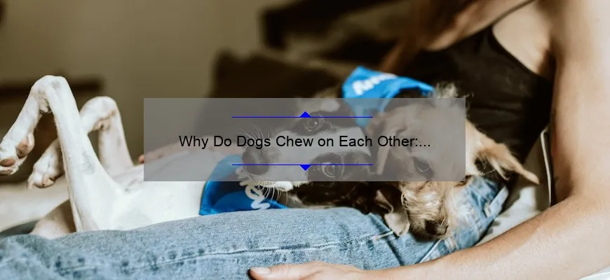 Why Do Dogs Engage In Chewing Behavior Towards Each Other ...