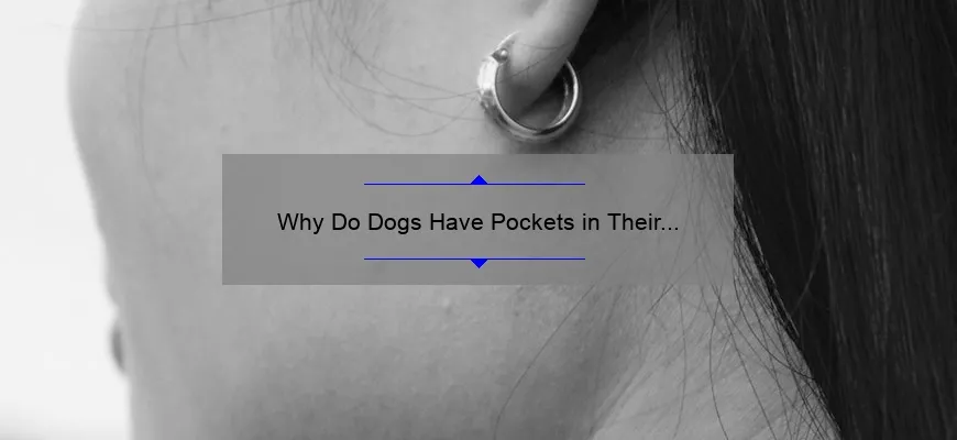 The Mystery of Canine Ear Pockets: Unveiling the Purpose Behind Dogs ...