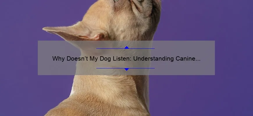 Why Doesn’t My Dog Listen: Understanding Canine Behavior